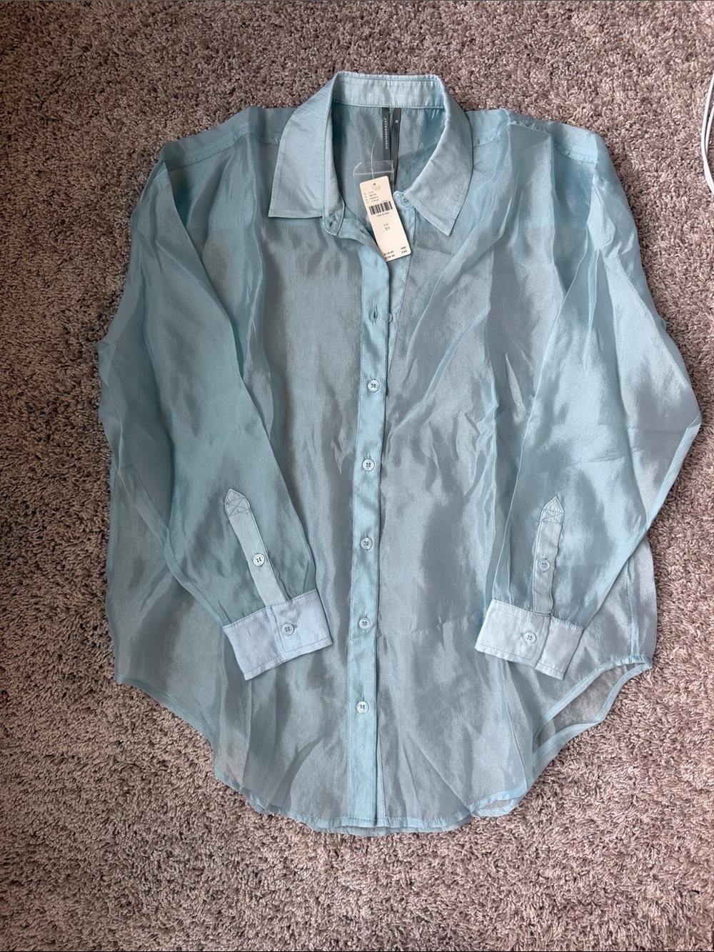 Anthropologie Sheer long sleeve buttondown